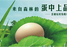 圣迪乐村有机鸡蛋畅销上海 4块钱一枚