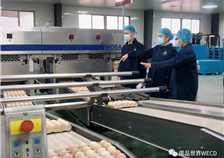 驰援香港防疫丨圣迪乐在行动，供港千吨鲜蛋！