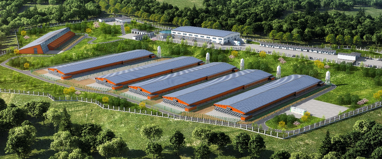 剑阁非笼养-效果图